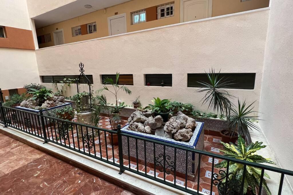 Estudio Aguila Con Vistas Al Mar بينالماذينا المظهر الخارجي الصورة